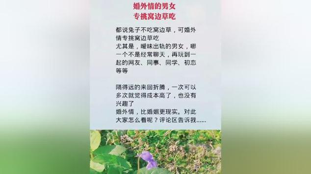 婚外情情感经典语录_婚外情情感_婚外情情感咨询