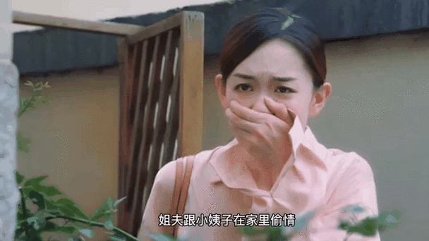 _报复出轨_ 夫妻外遇案件分析 